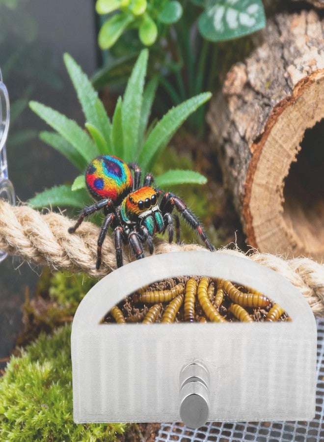 Fukaisu 3pcs Jumping Spider Water Bowl with Magnetic, Leak-Proof Jumping Spider Food Feeding Dispenser Dish Enclosure Decor Accessories for Tarantula Mantis Small Reptiles and Pets (Half Round) - Image 5